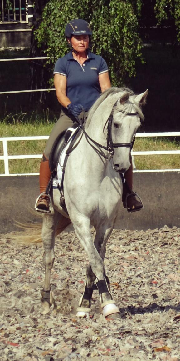 Karin Ostheimer-Sutter